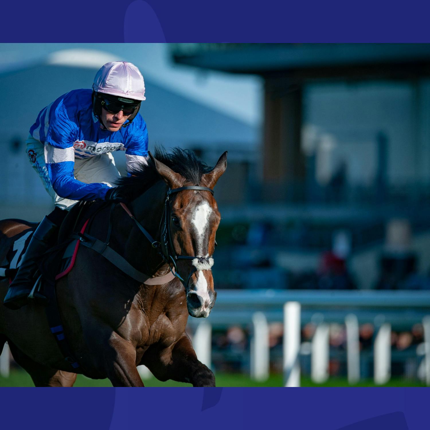 Ever Wonder What It's Like To Race A Horse? This New TV Show Goes Behind The Scenes episode artwork
