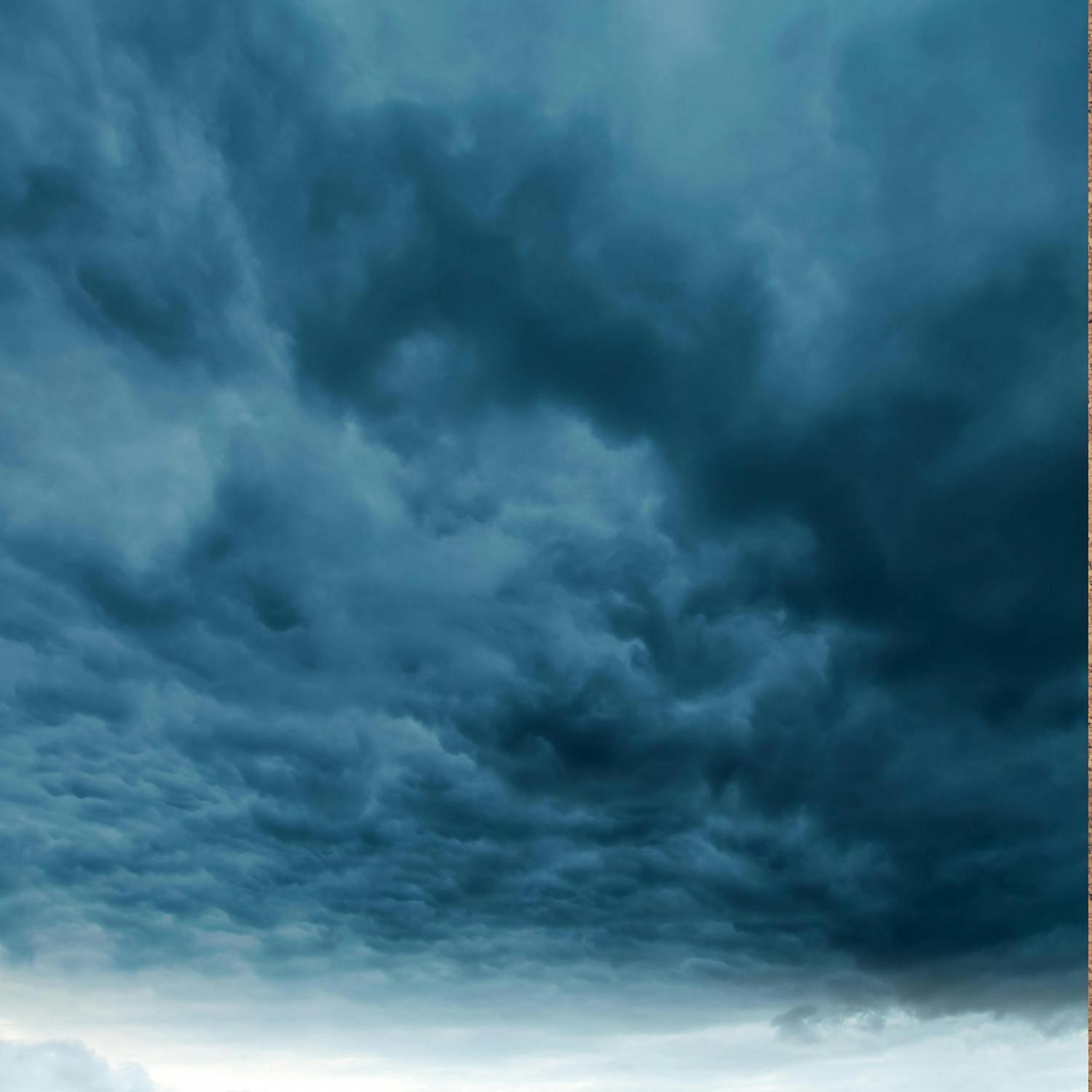 A review calls for event bans under status orange wind warnings A review calls for event bans under status orange wind warnings