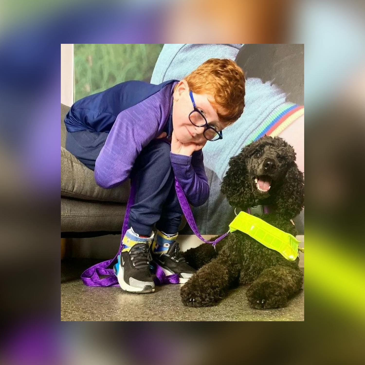 How mobility dogs are helping children with mobility issues