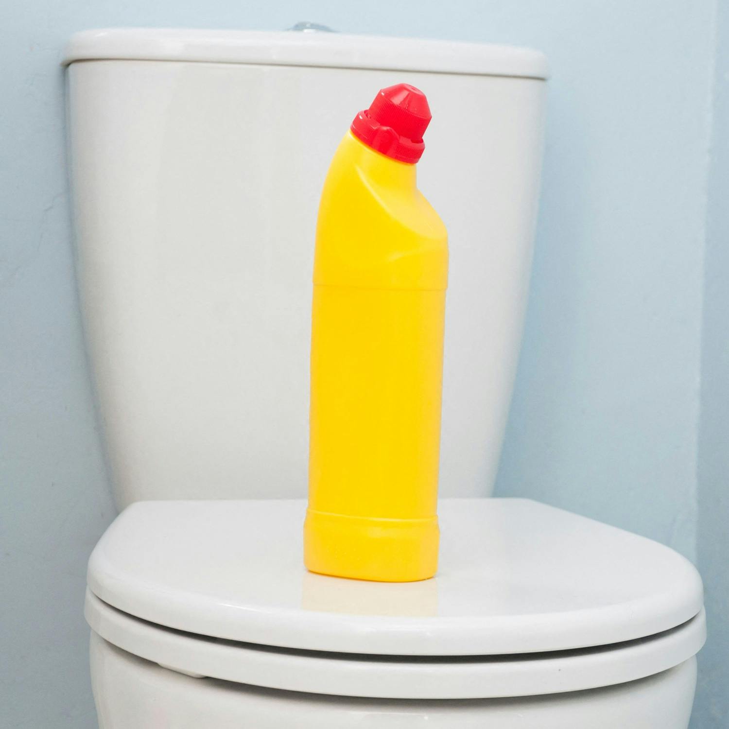 How to Do Stuff: Leave the Toilet presentable.