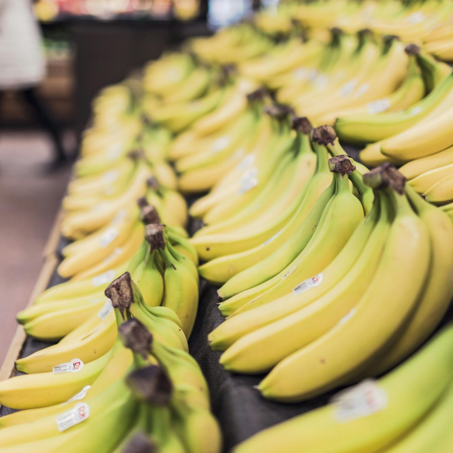 Should supermarkets be fined for wasting food?