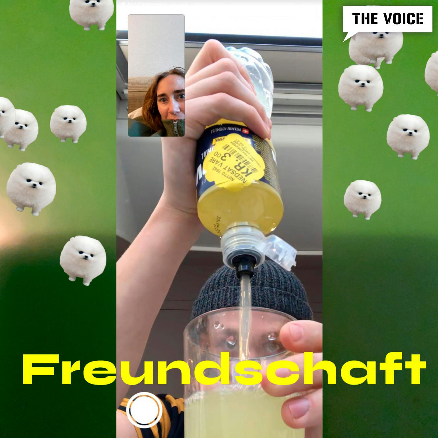 Freundschaft & friends