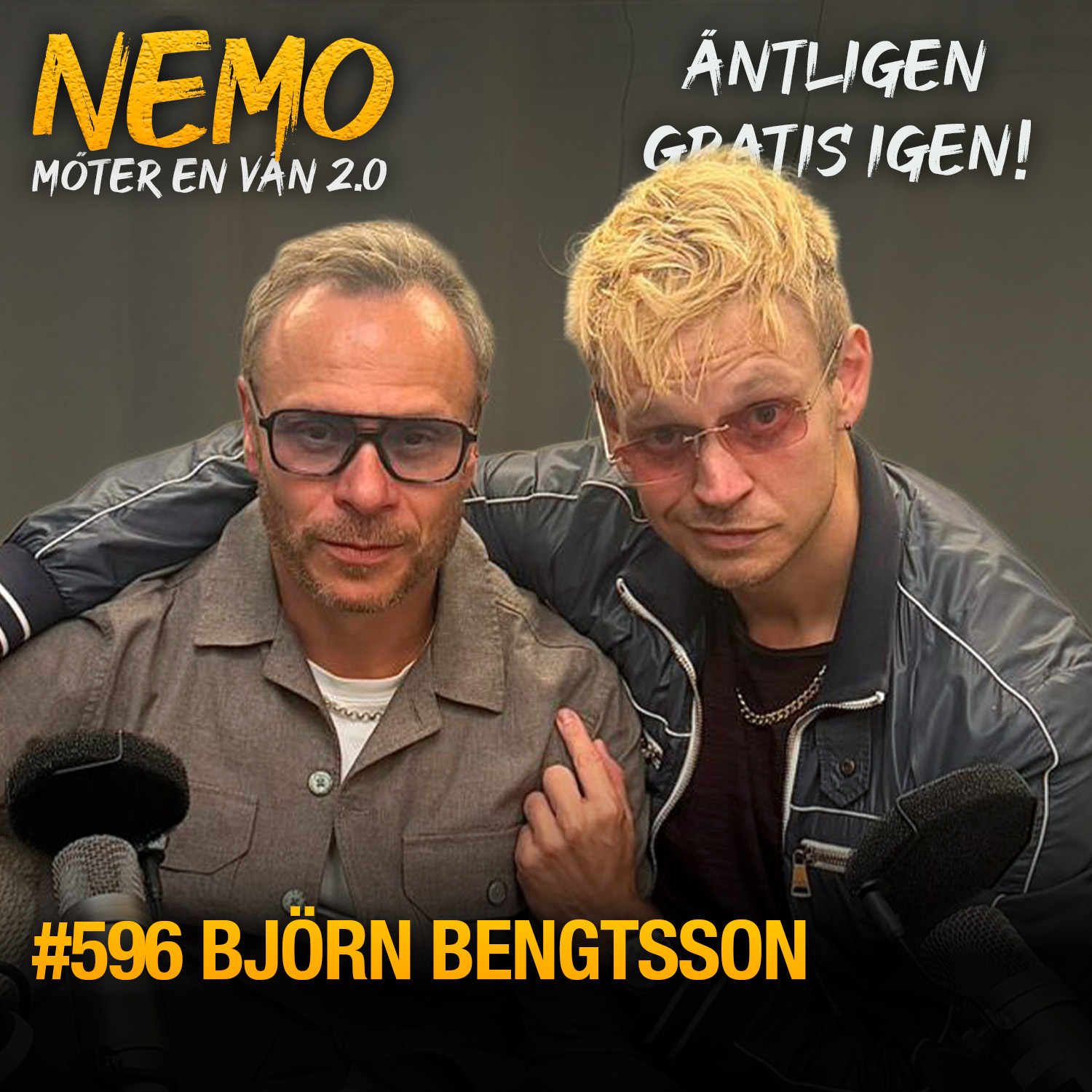 596. Björn Bengtsson - Hundarna