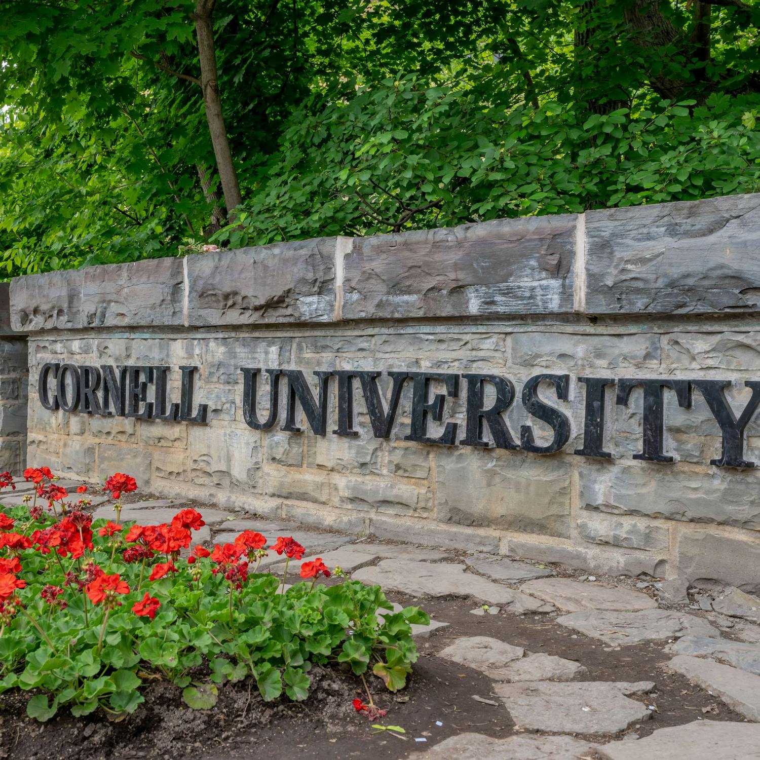 Investigation into alleged gang rape at Cornell University reopened