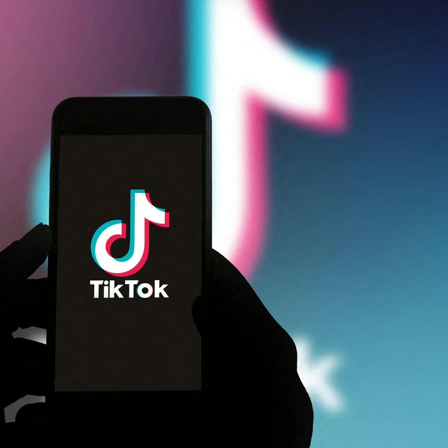 TikTok in front of  Oireachtas Media Committee today
