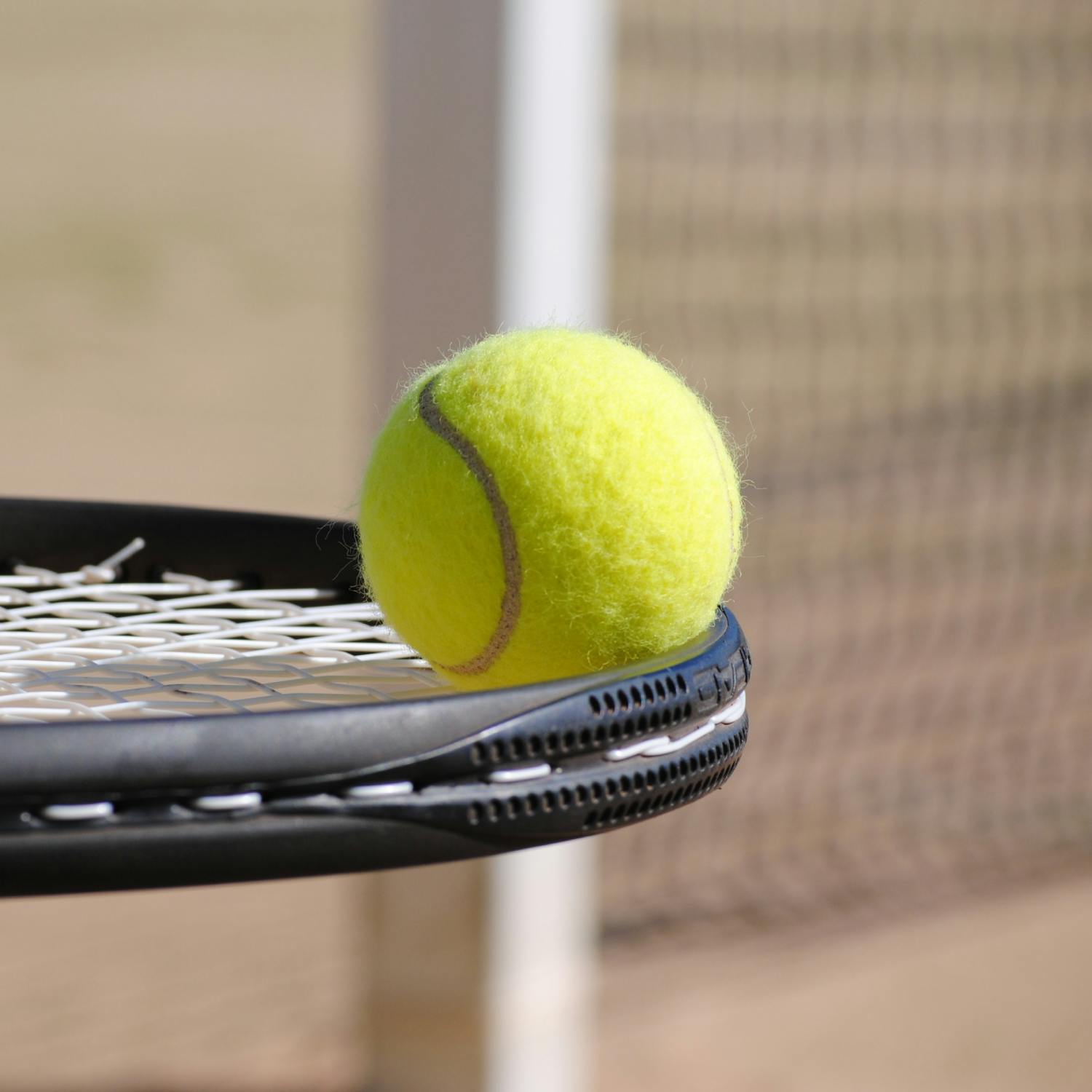 How dangerous are tennis balls for dogs? episode artwork