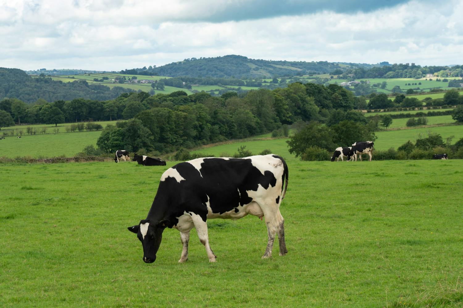 Farming: Check on your elderly Neighbours episode artwork
