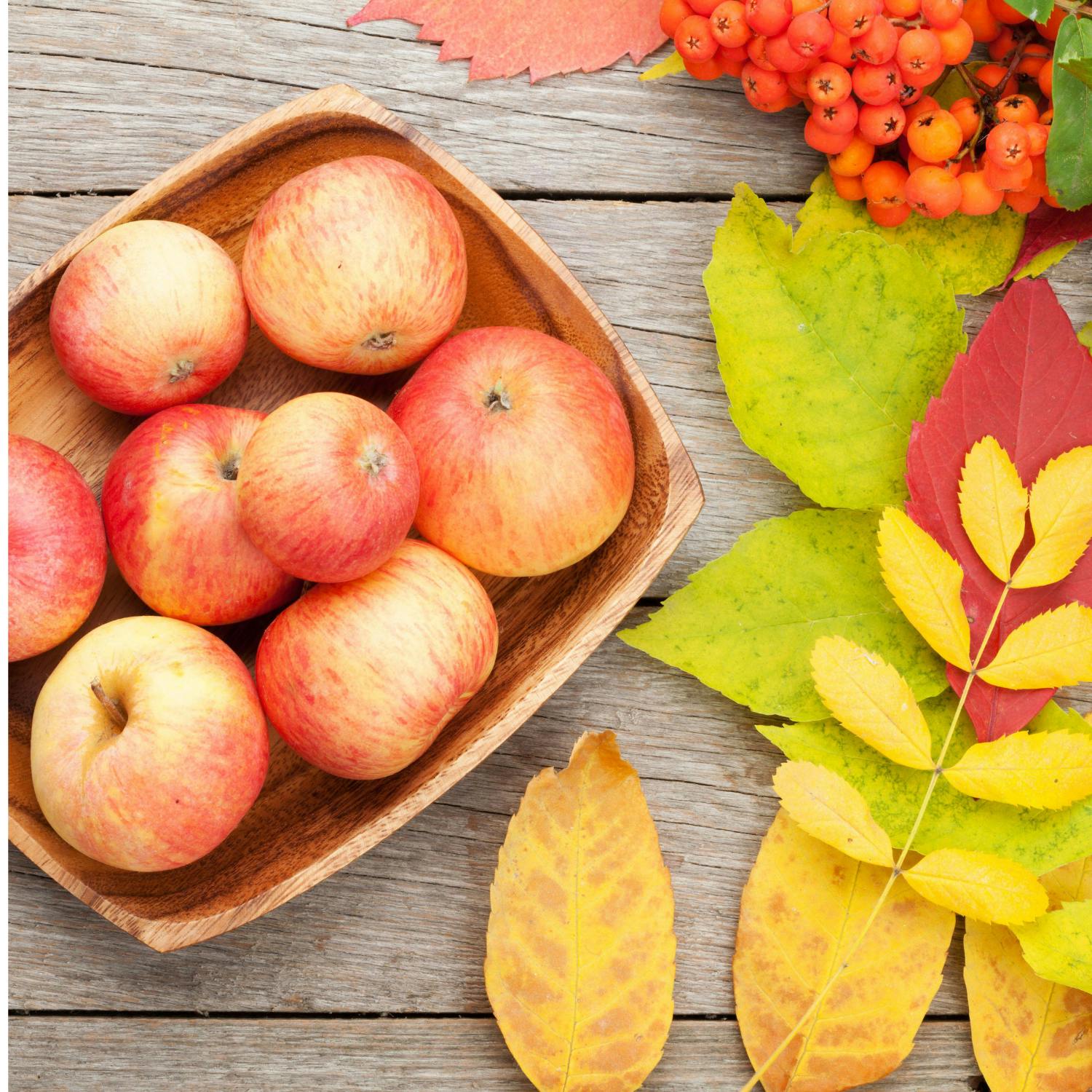 Baking with autumnal apples