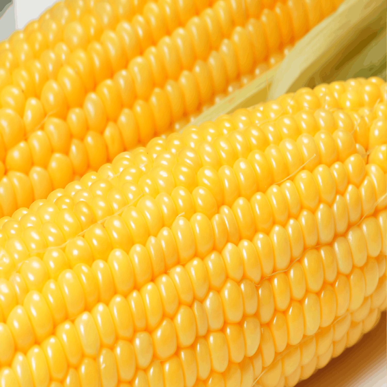 cover of episode You Are What You Eat : Corn