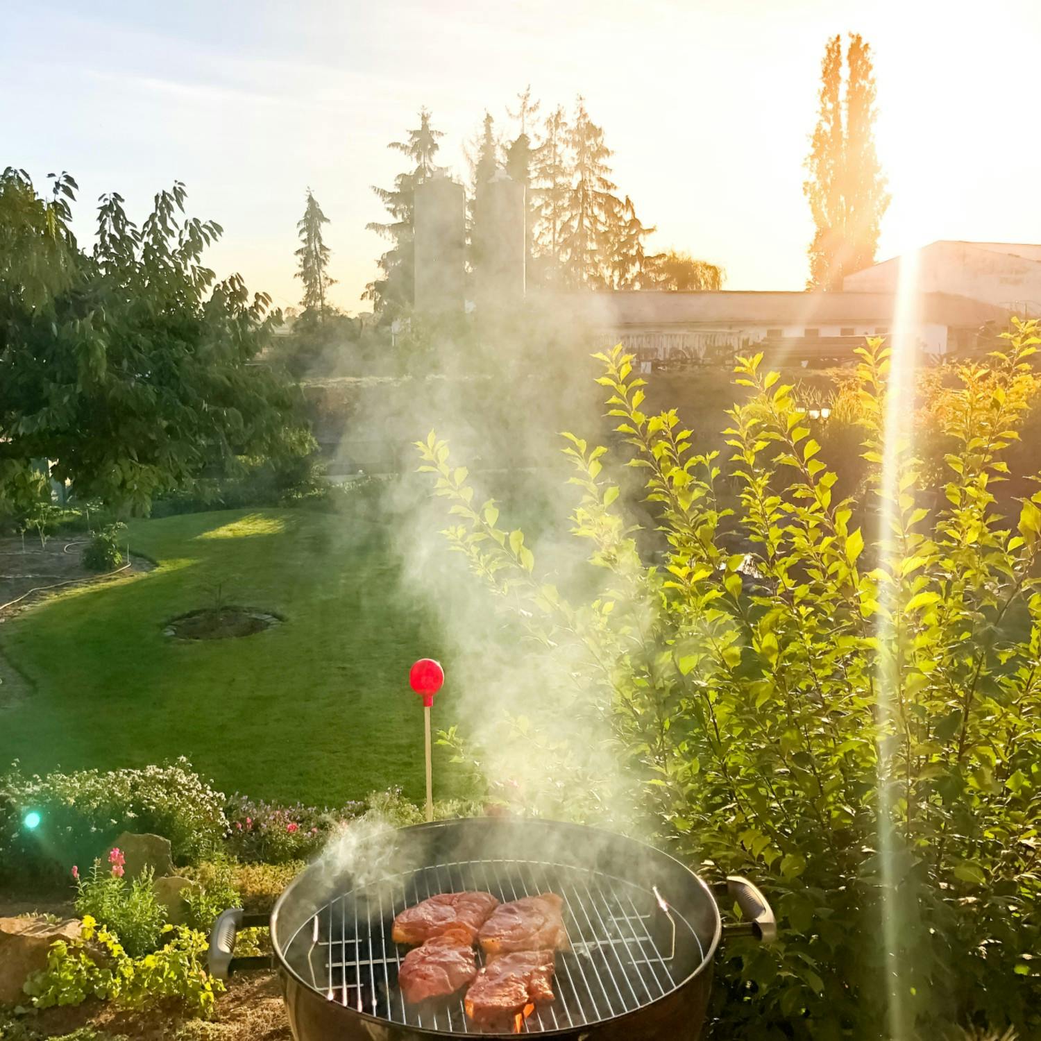 Is it time to get BBQ ready?