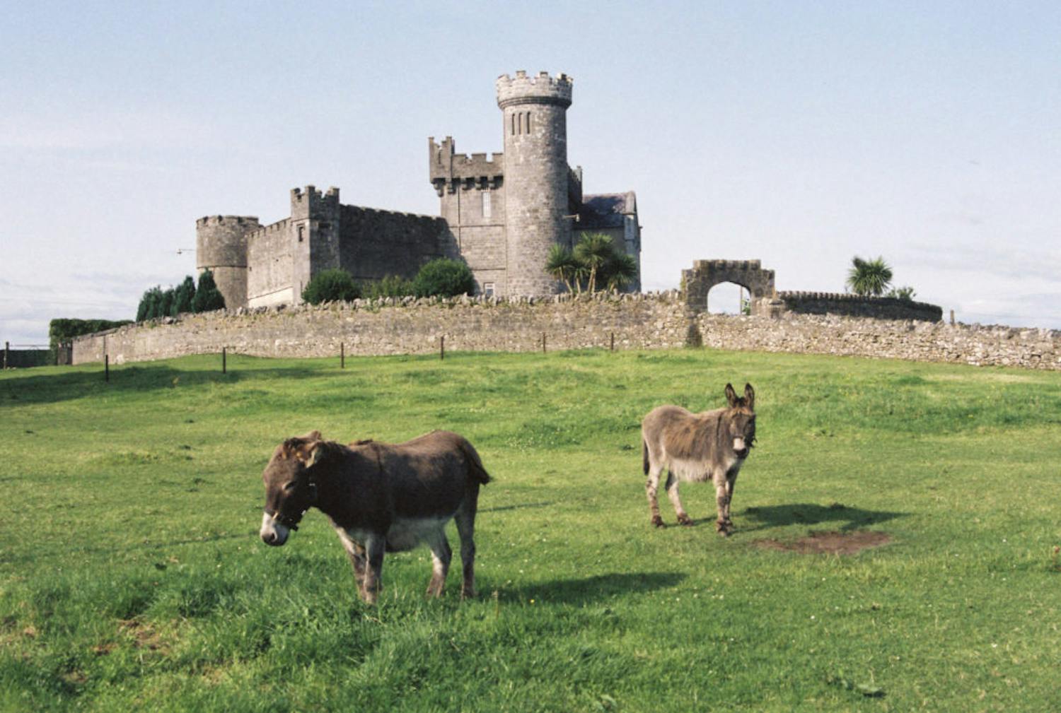 Rescuing the Summer for Tourism & Trade Rescuing the Summer for Tourism & Trade