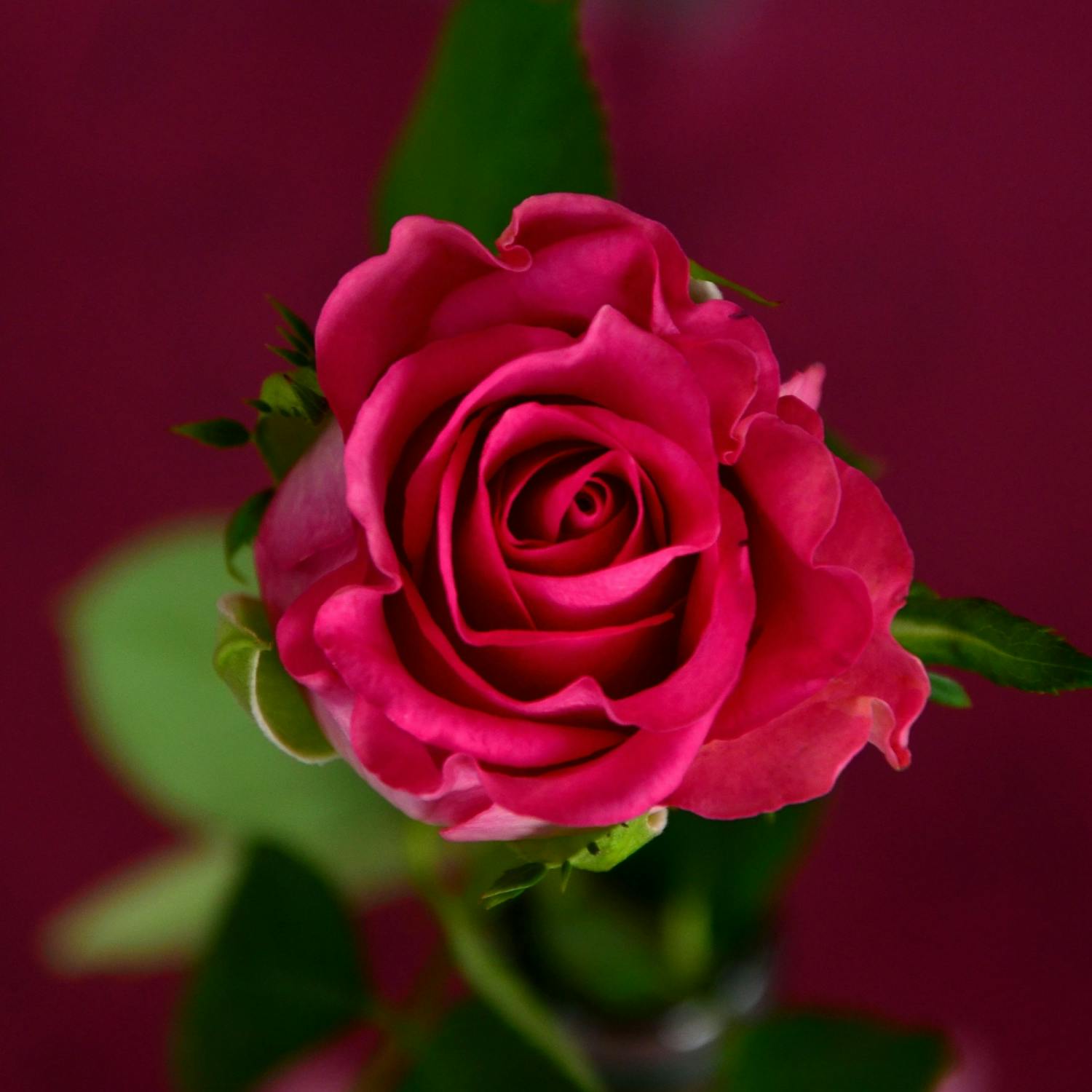 Speed dating in France leads with sexual fantasies - should we?