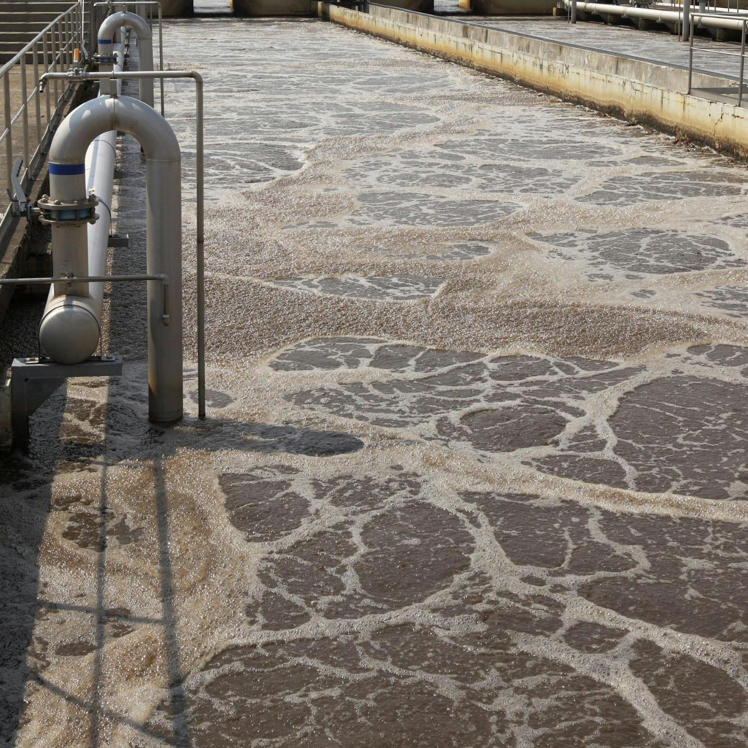 Findings of a new report from the EPA episode artwork