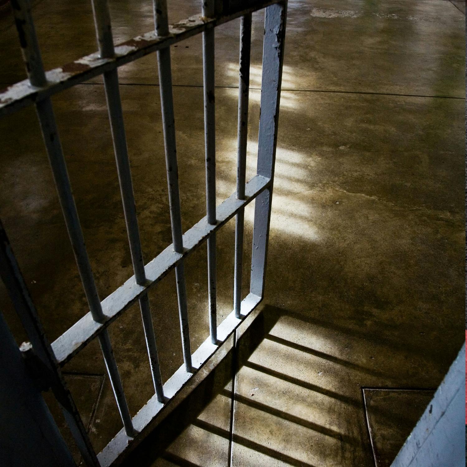 Opposition to a proposed new law to remove parental rights from people who kill their partner