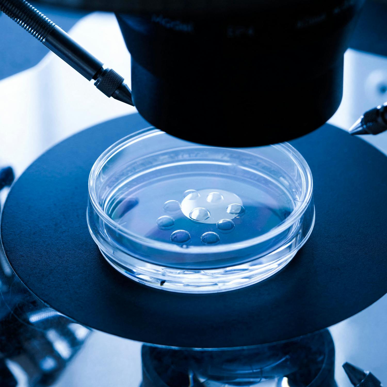 World IVF Day - what is your experience?