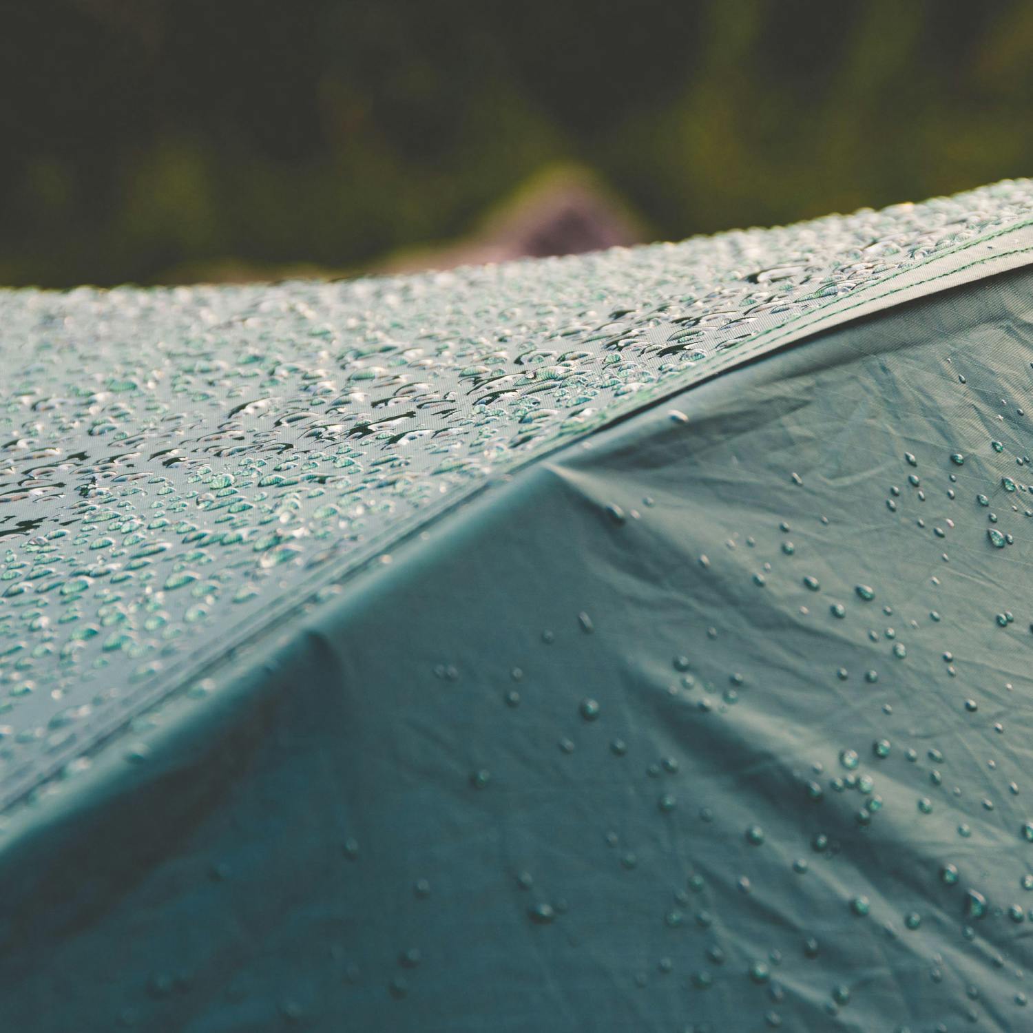Going to Electric Picnic? This is your survival guide