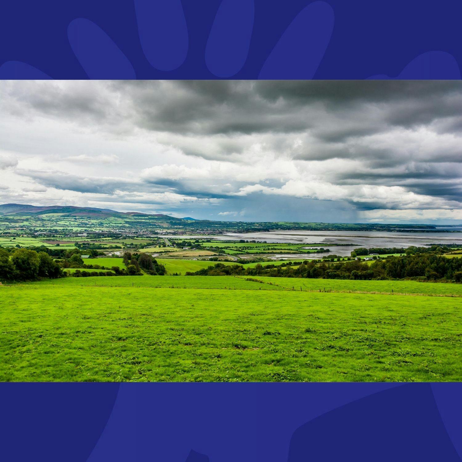 The Last Word on the Environment: Celebrating 5 years