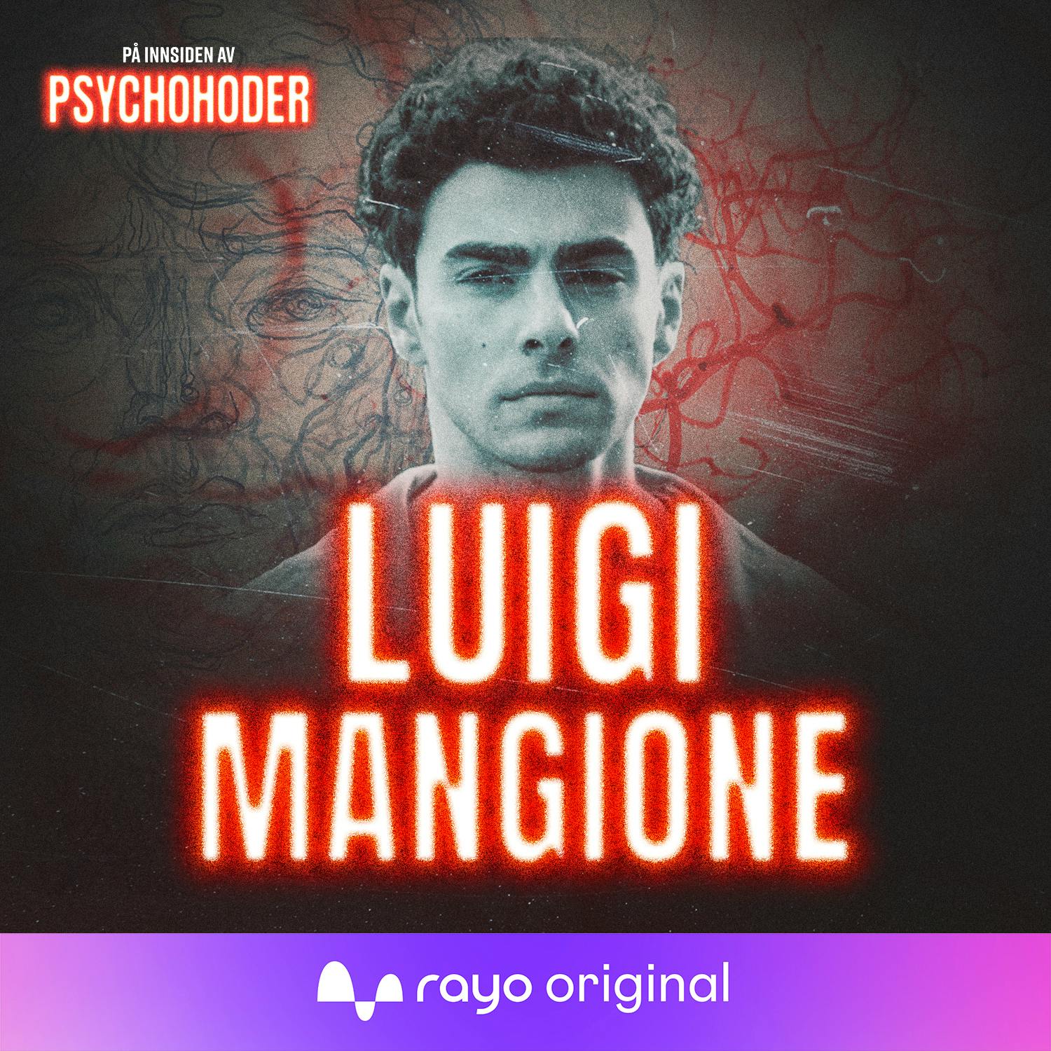 Luigi Mangione - “Delay, Deny, Depose”