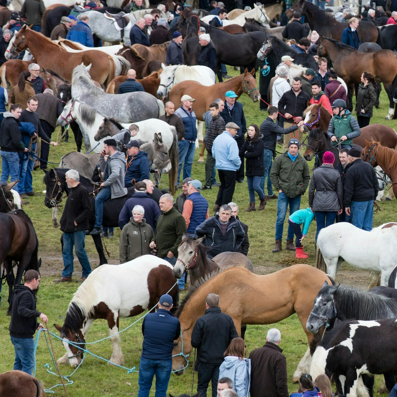 cover of episode Ballinasloe Fair returns and celebrates its 300th year