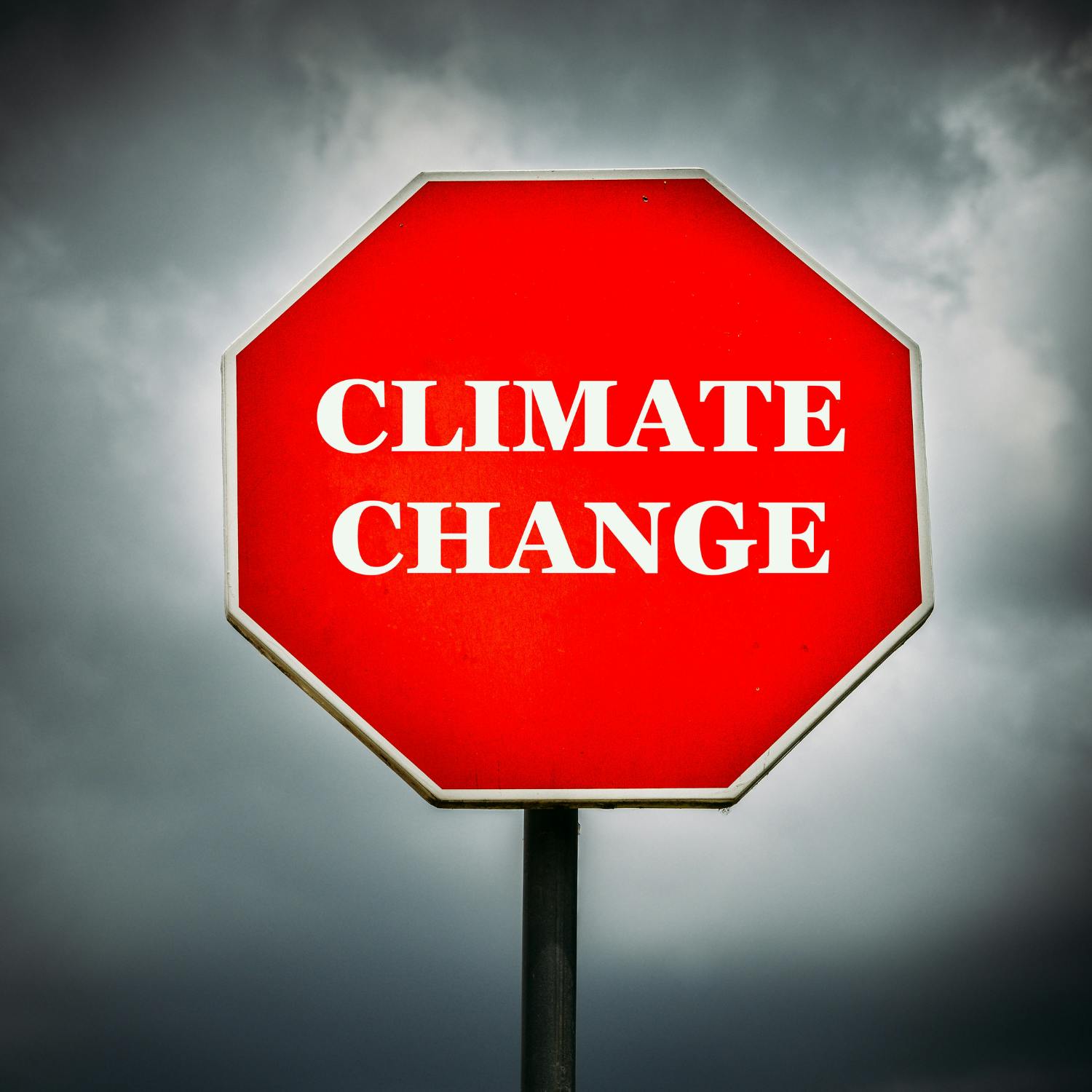 Is a carbon free fee something that’s likely to become standard? Is a carbon free fee something that’s likely to become standard?