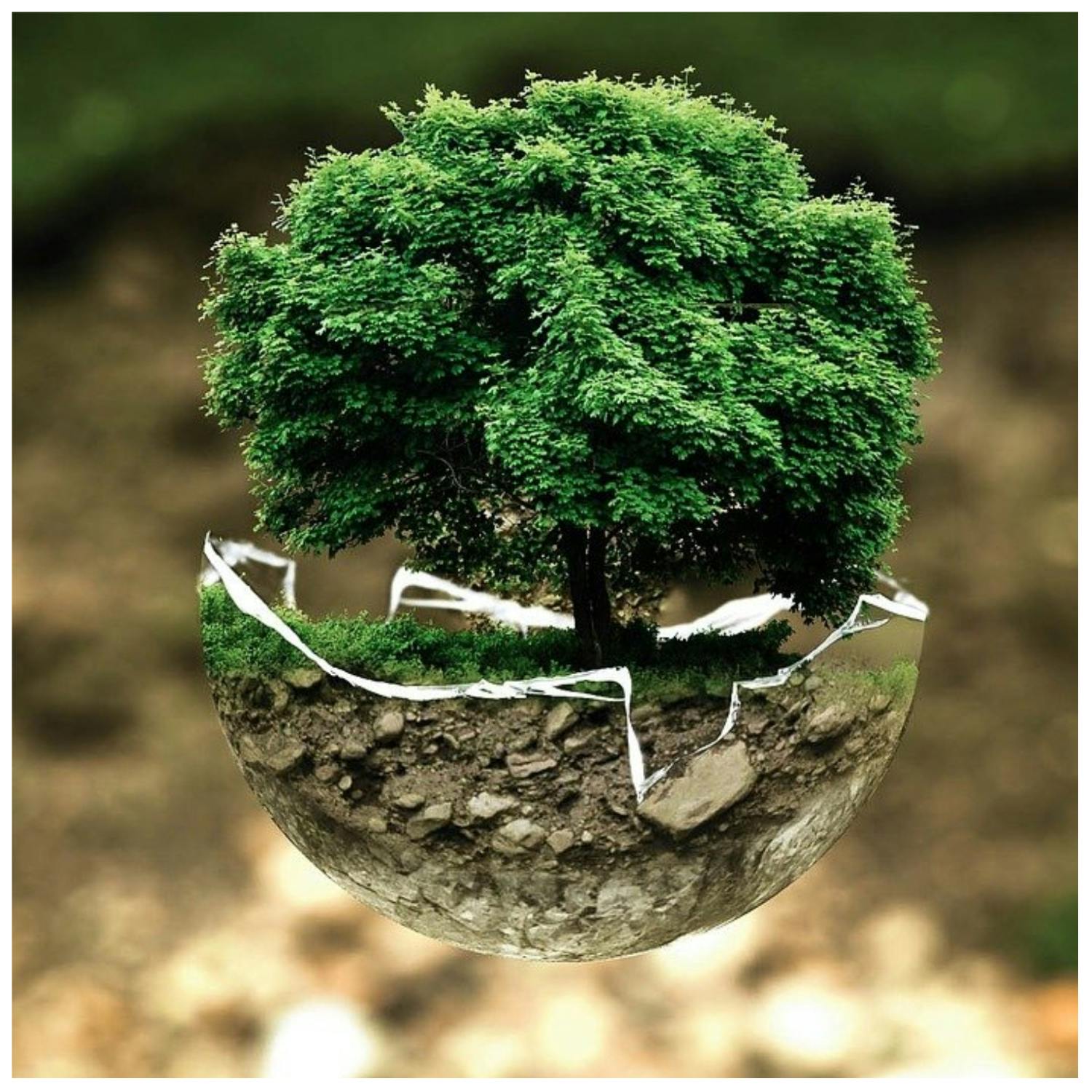 The Last Word On The Environment: Five Changes You Can Make In 2023 That Could Really Help The Environment