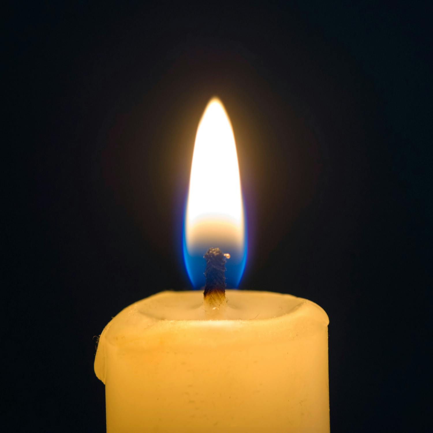 Light Up a Light for Our Lady’s Hospice