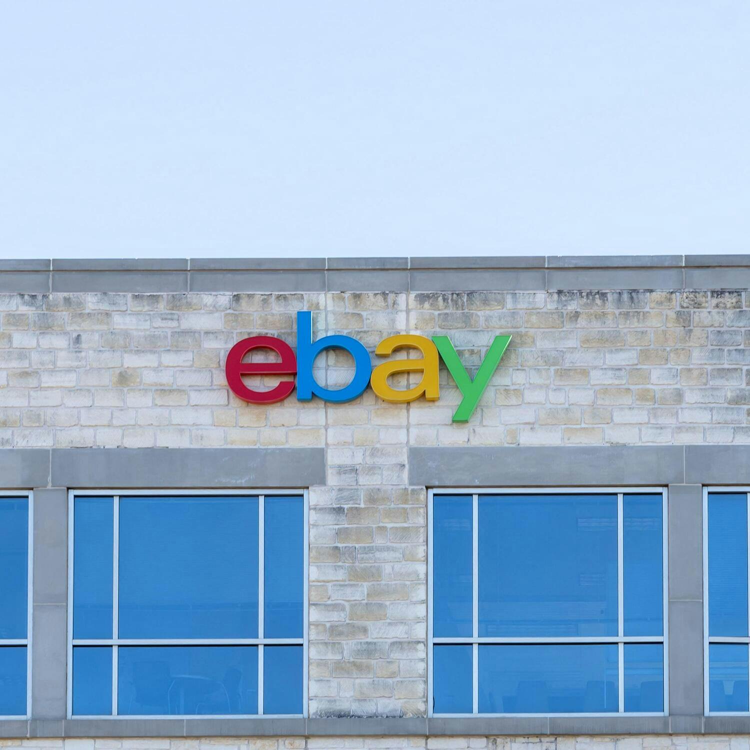 Steiner V Ebay