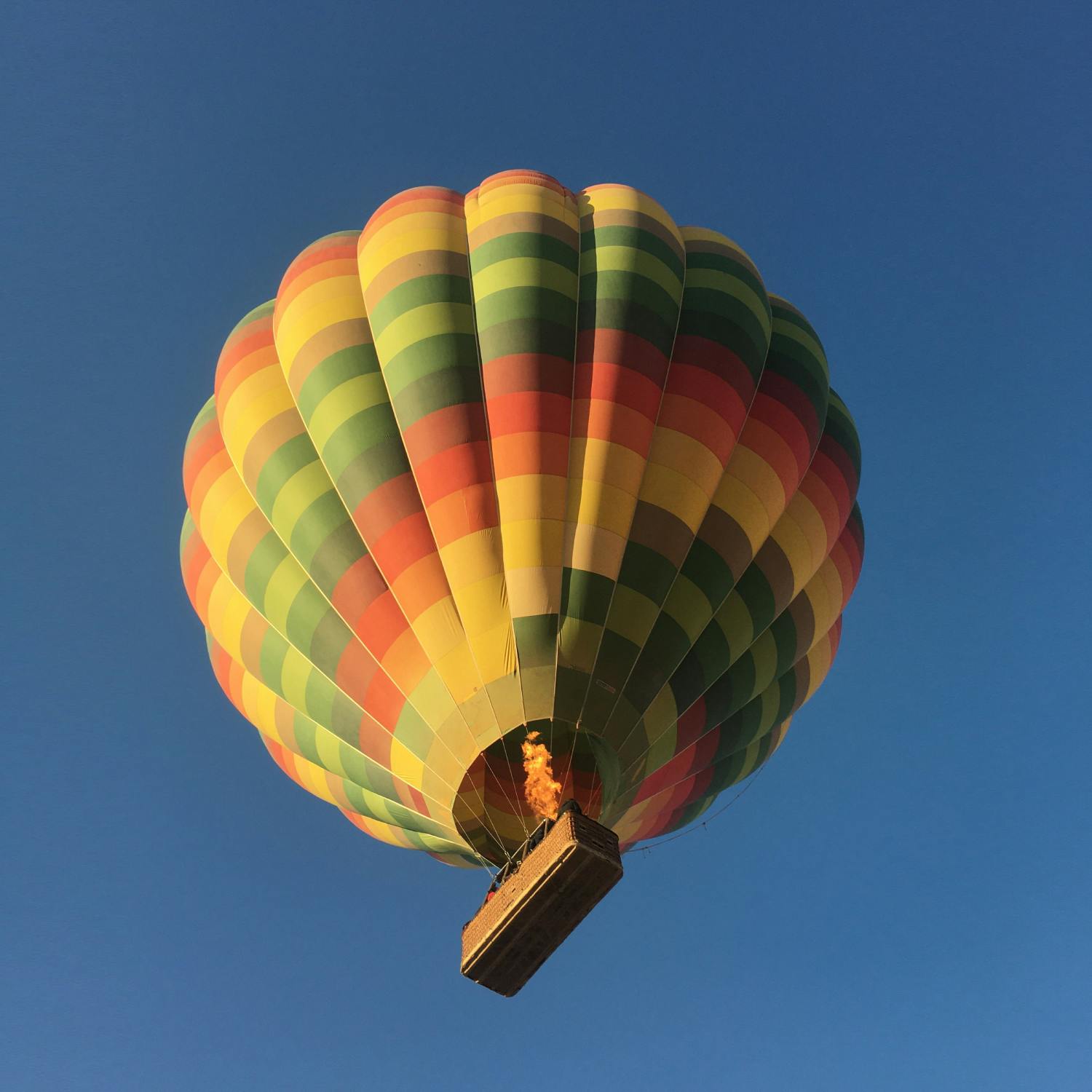What is a hot air balloon race like? Image