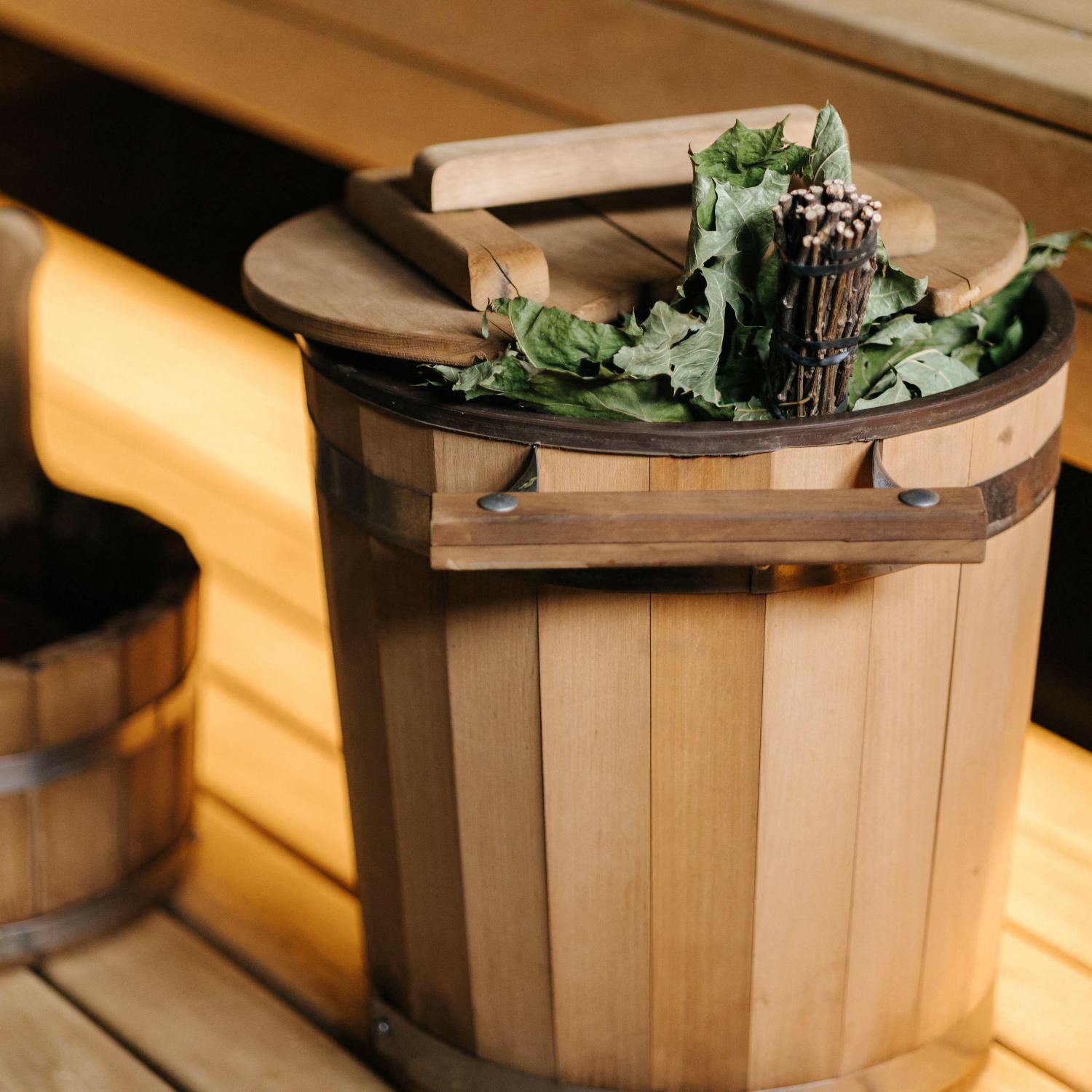 Luke O’Neill on the science of the cold plunge & sauna