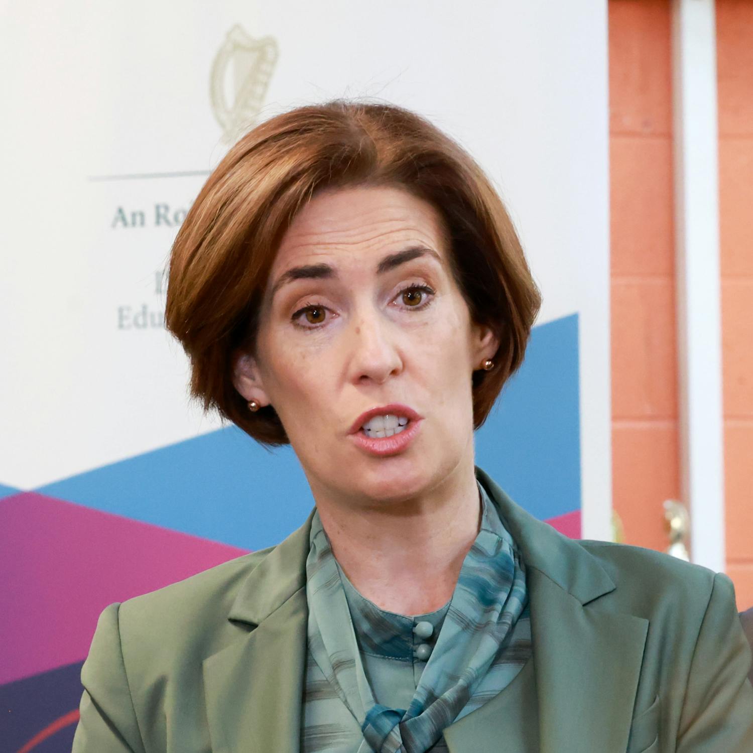 SNA professionalisation plan to be brought before Cabinet