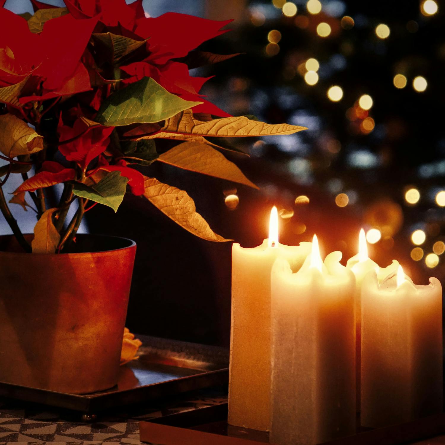 Victoria Mary Clarke on dealing with grief and loneliness around Christmas Victoria Mary Clarke on dealing with grief and loneliness around Christmas