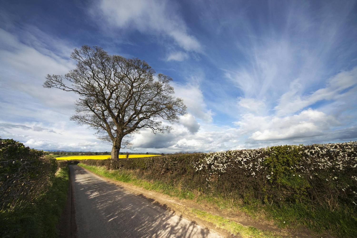 Farming: The rules on cutting hedges are quite strict.... episode artwork