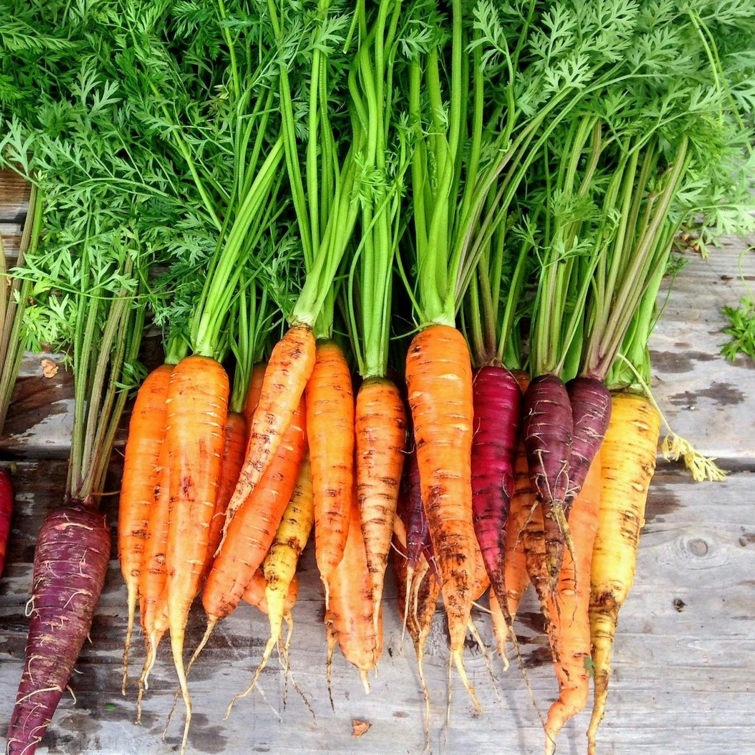 Do carrots help you see in the dark? Image