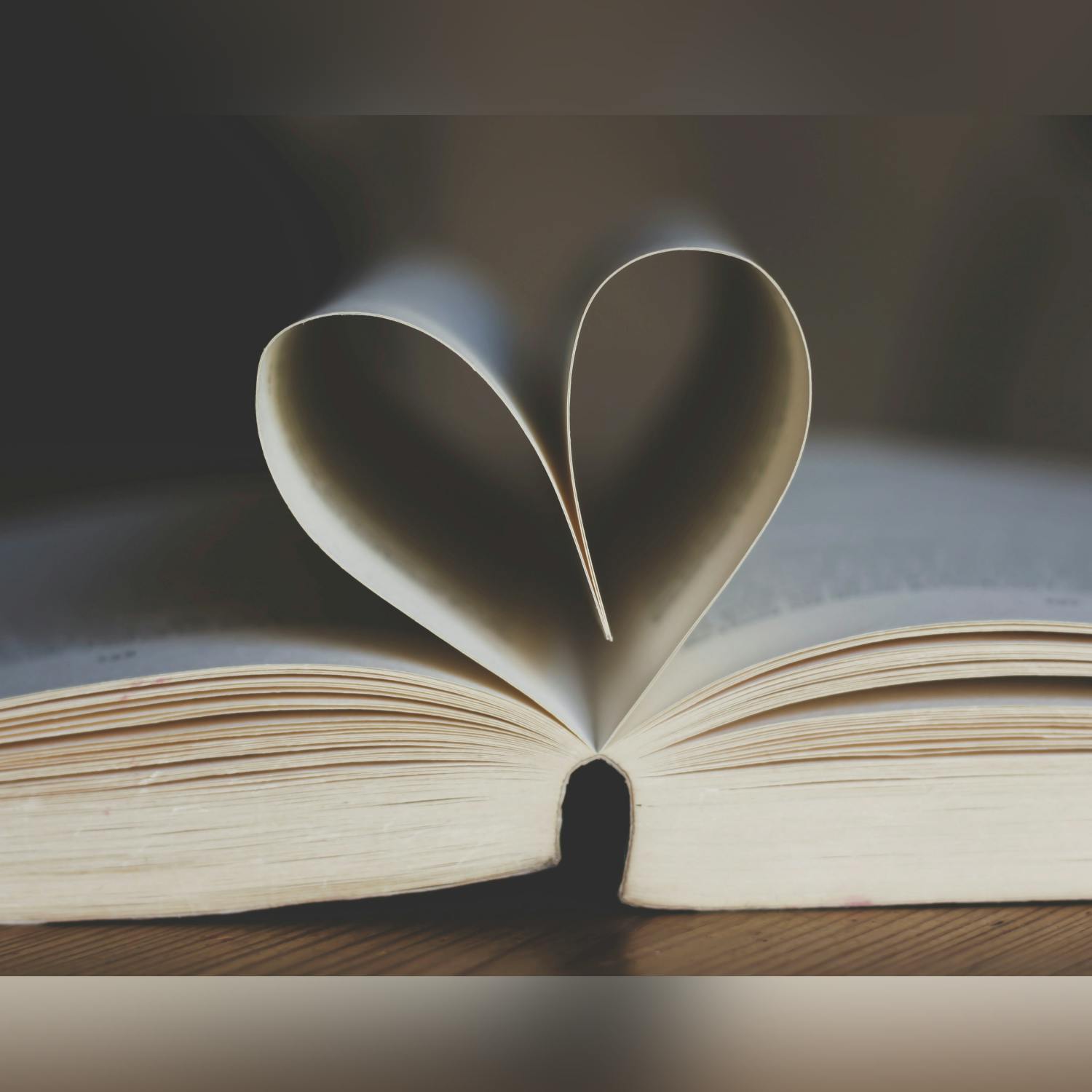 Can books fight loneliness? episode artwork