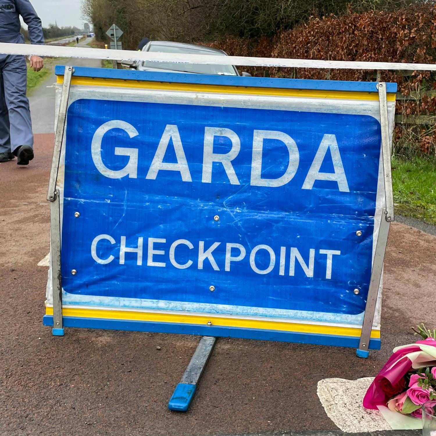 Should road deaths be treated as a public health emergency?