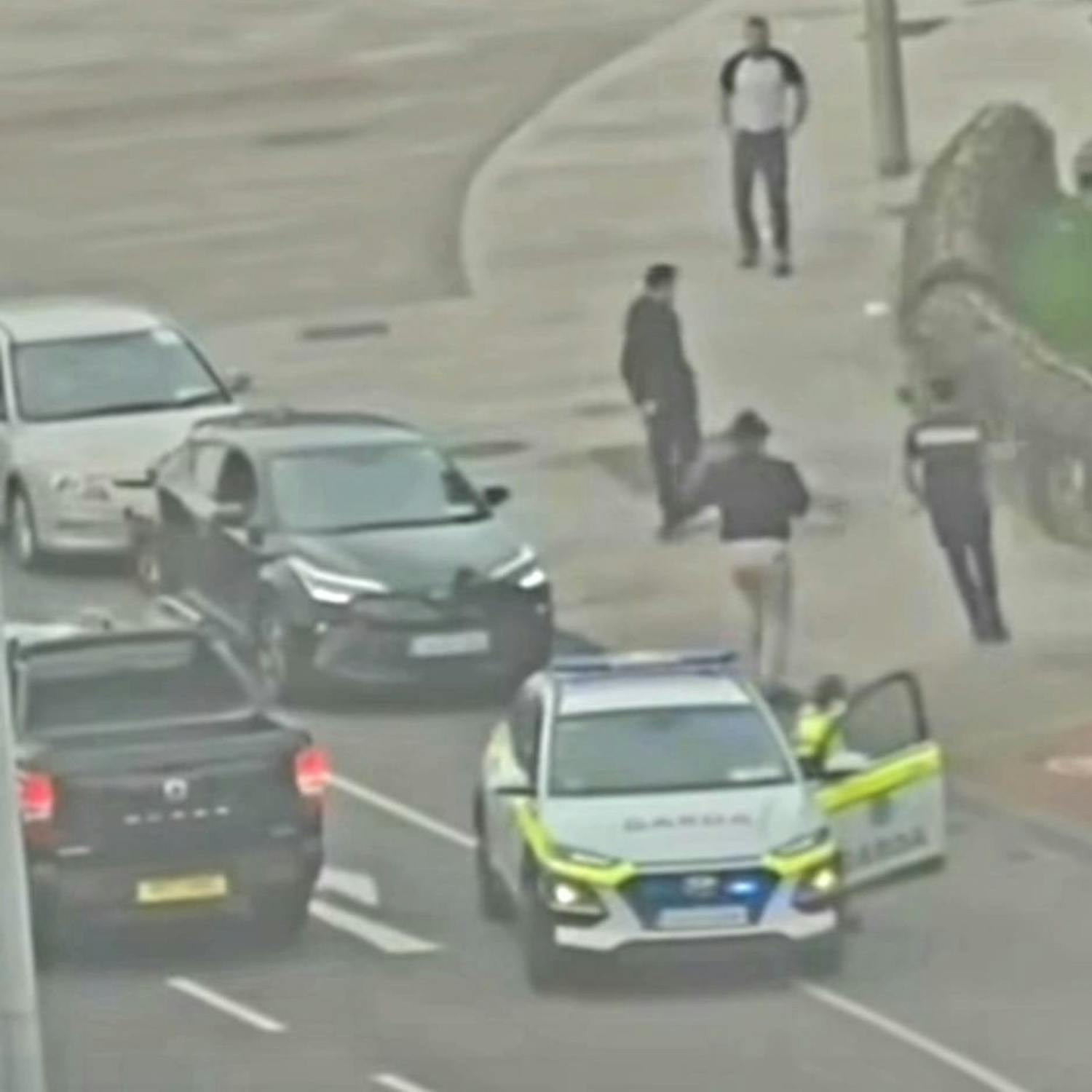 "Gardai Should Have Tasered Men Involved In City West Savage Attack"