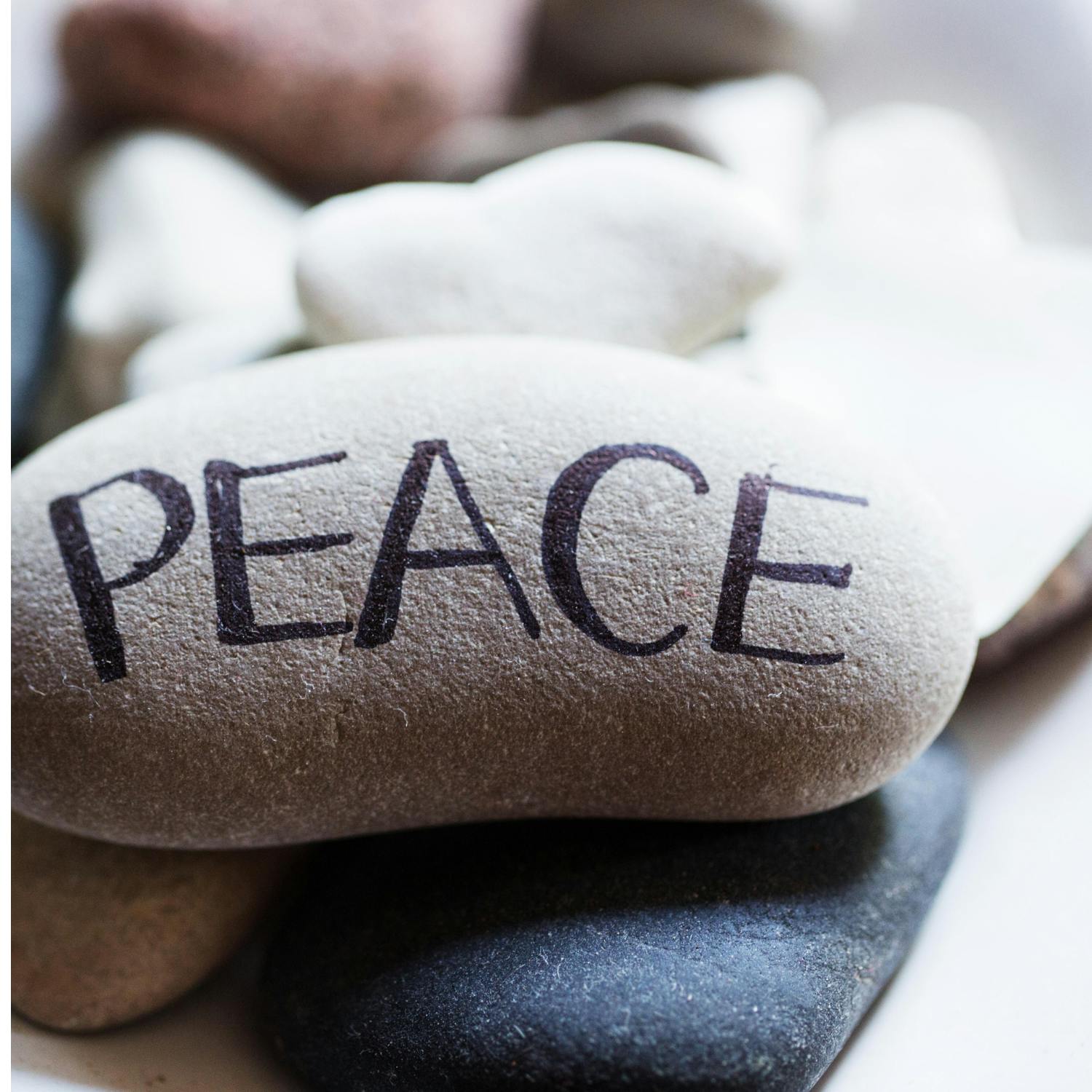 The authors of ‘The Future is Peace'