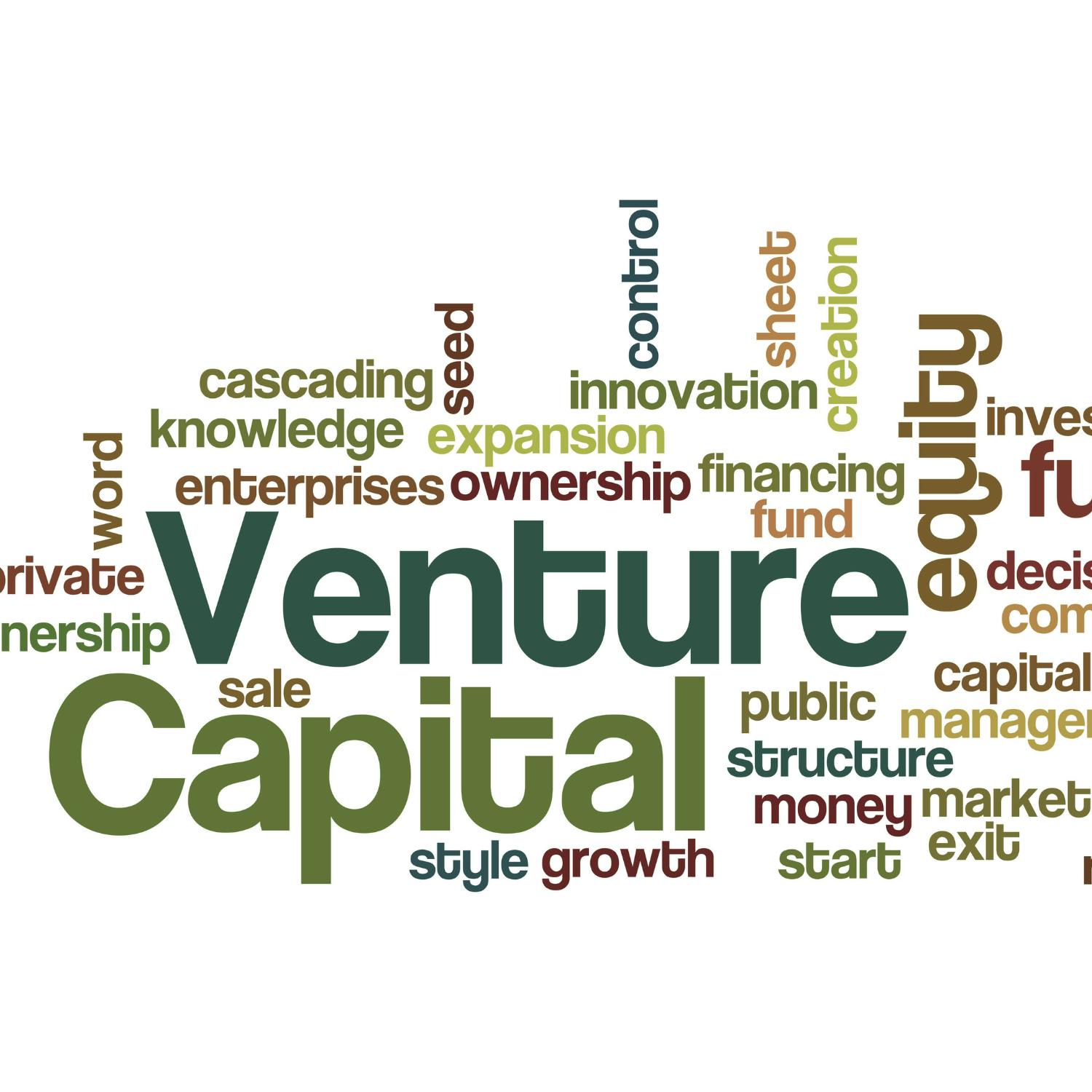 Enabling small investors to get in at the seed funding Enabling small investors to get in at the seed funding