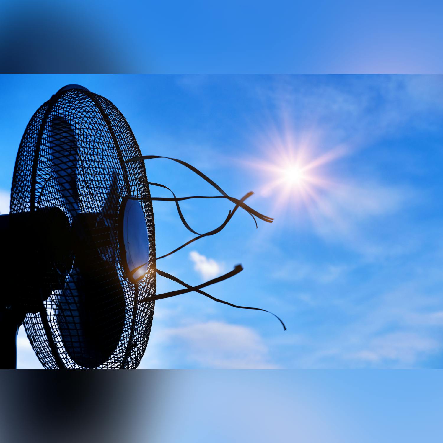 How to keep cool during the hot weather! episode artwork