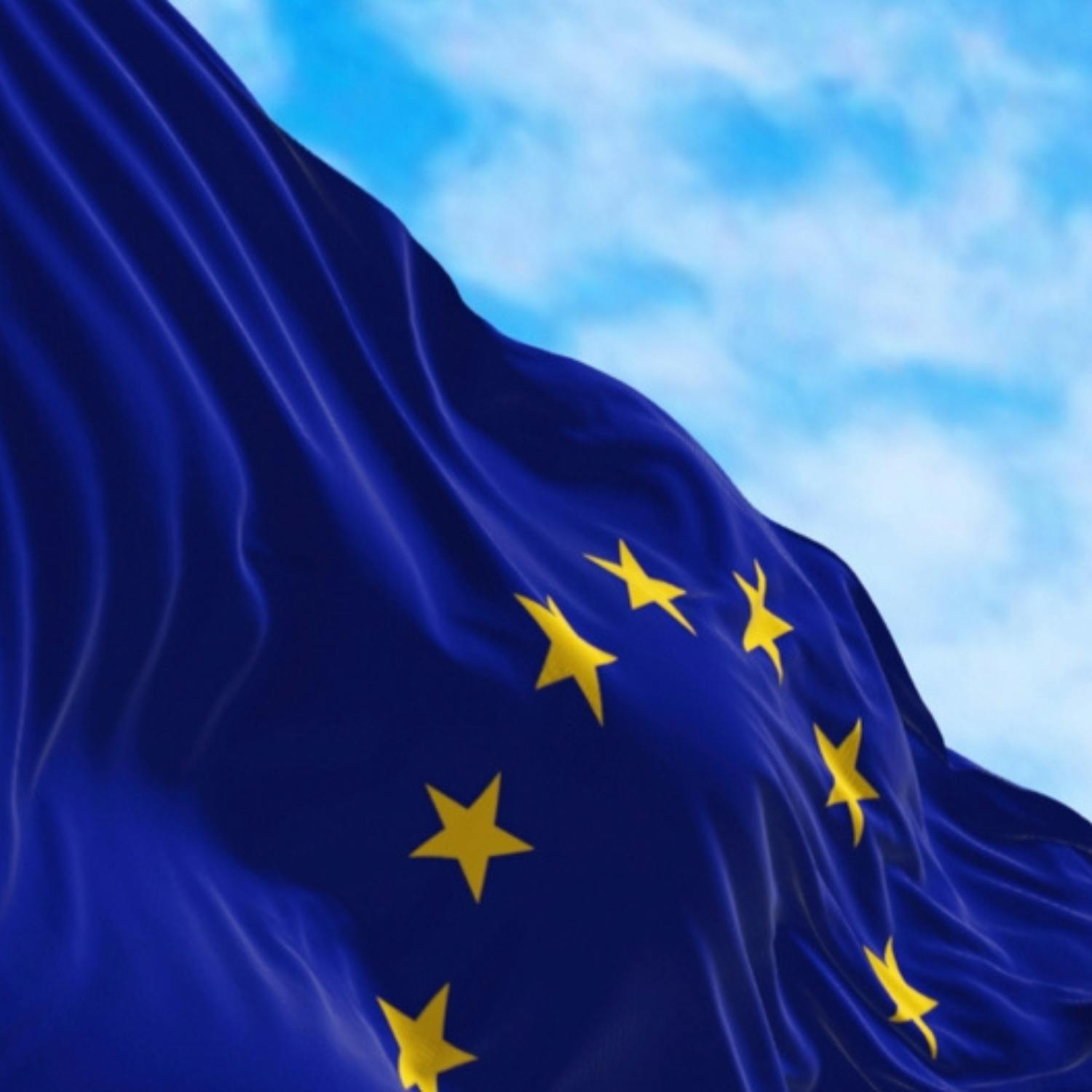 The final picture: European elections wrap-up