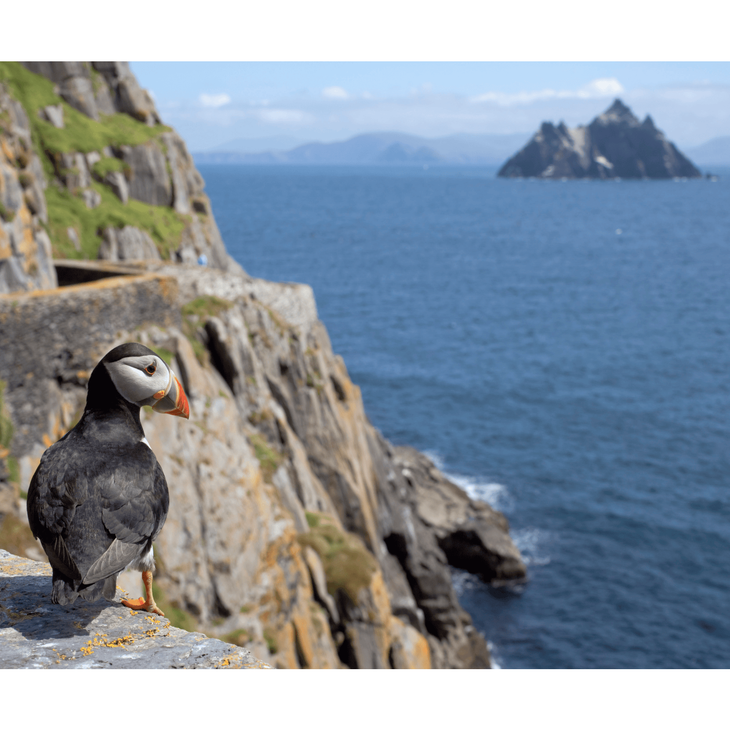 Concerns over the recent closure of Skellig Michael is having on wildlife and local tourism there Image