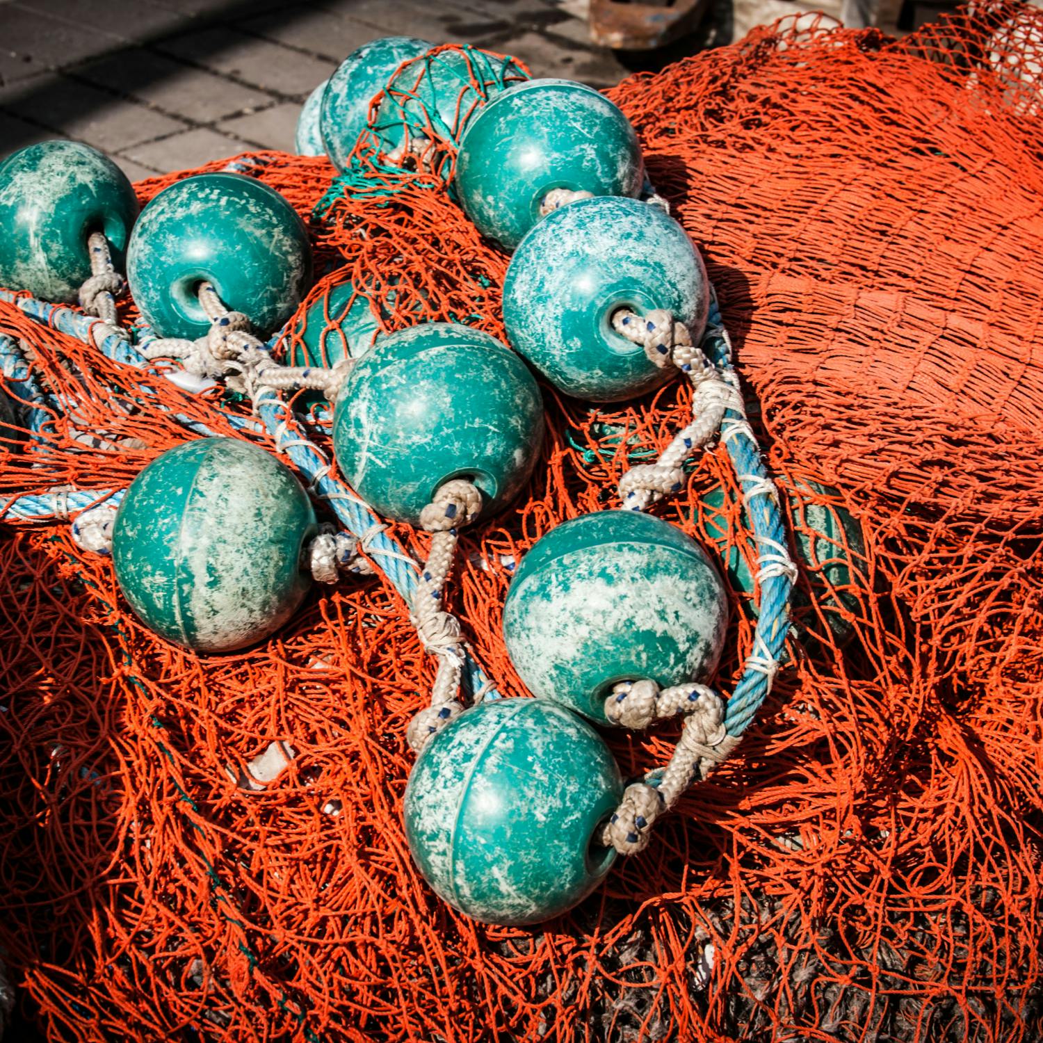 How is the current state of the Irish fishing industry? The Pat Kenny