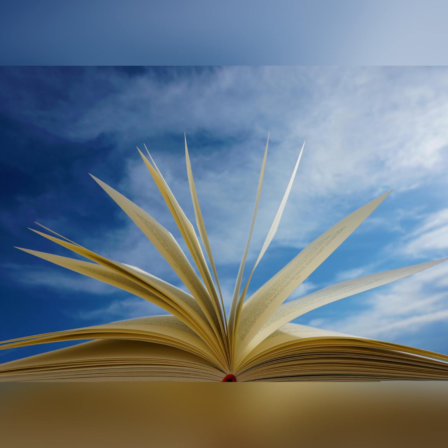 The Bookshelf with Roderic O’Gorman