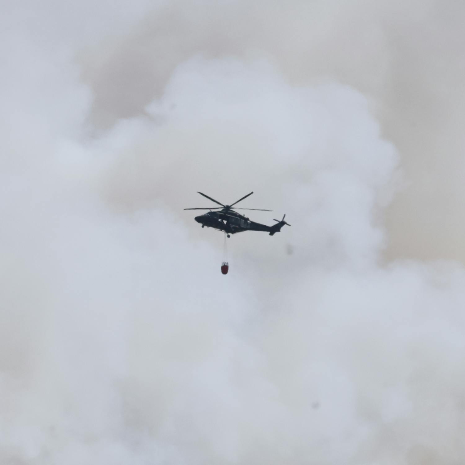 What needs to be done to prevent future wildfires?