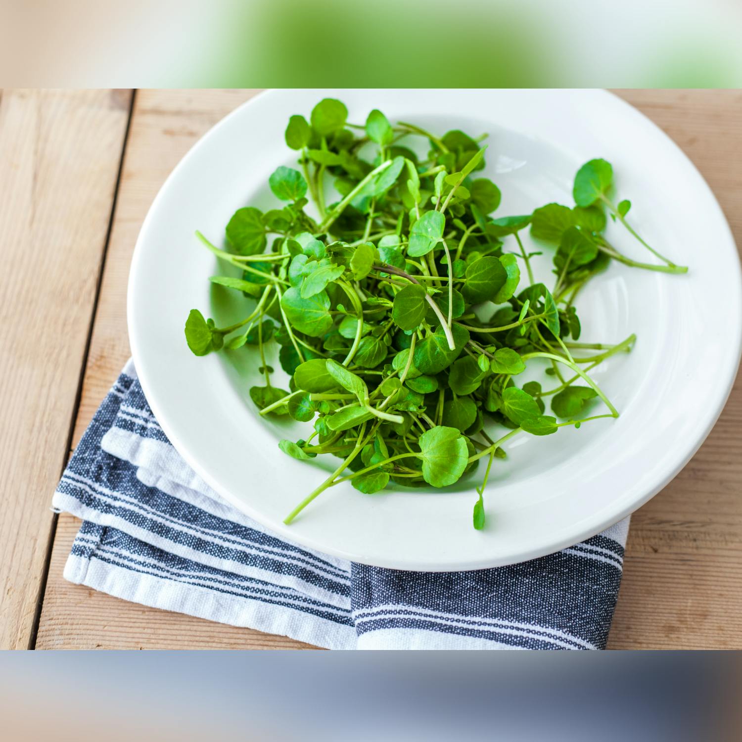 World watercress eating champion admits he doesn’t like it! World watercress eating champion admits he doesn’t like it!