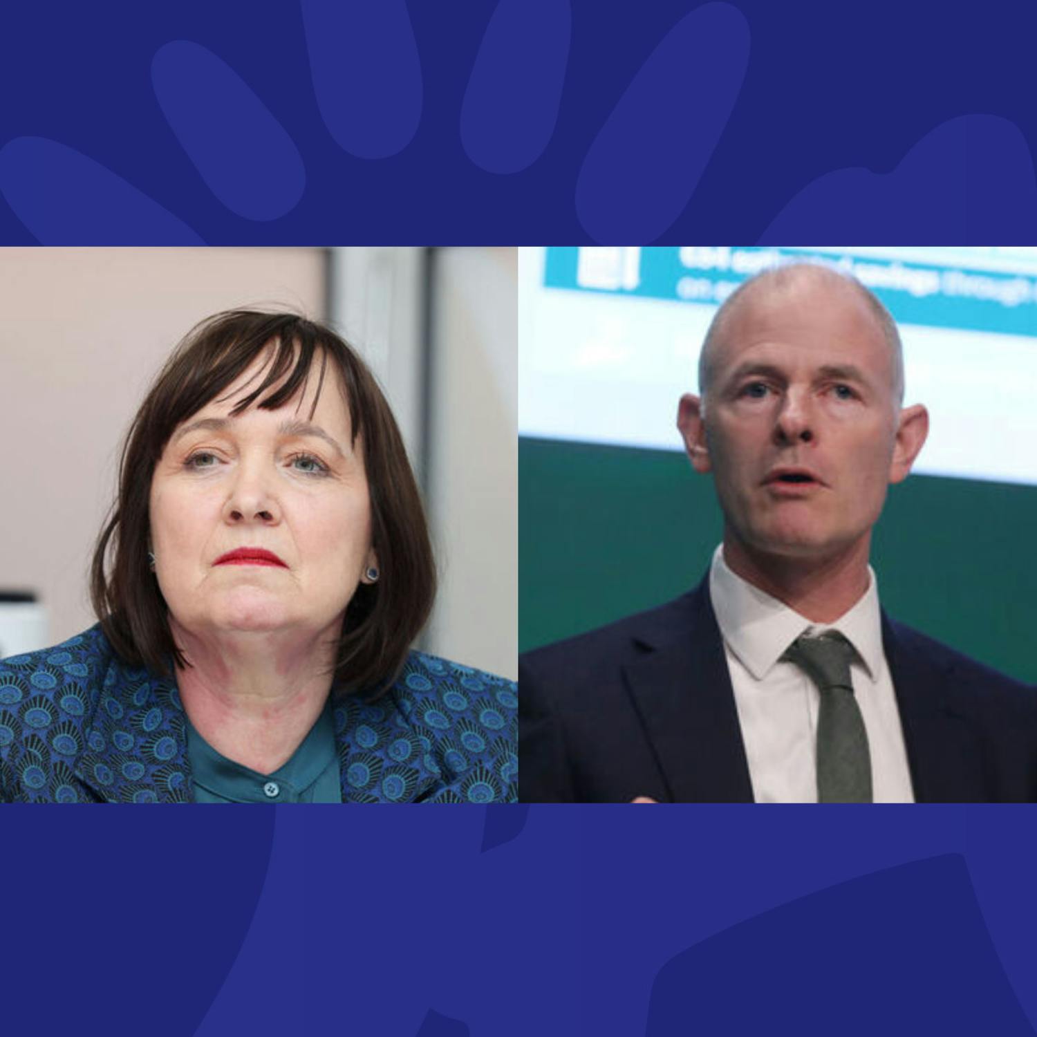 #GE2024: What Would Fianna Fáil And The Green Party Each Do For The Climate?