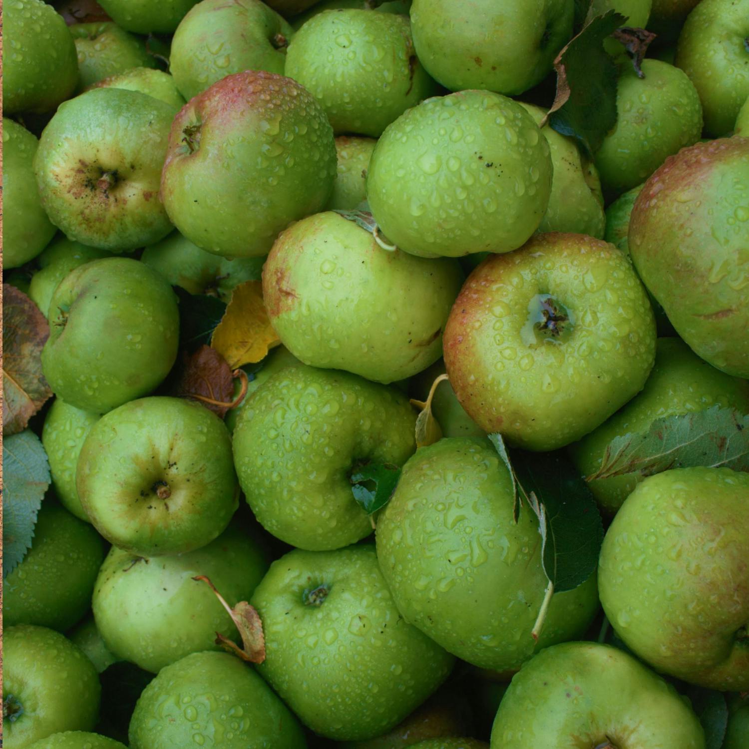 Friday Food: Irish Apple, brown butter and cardamom cake