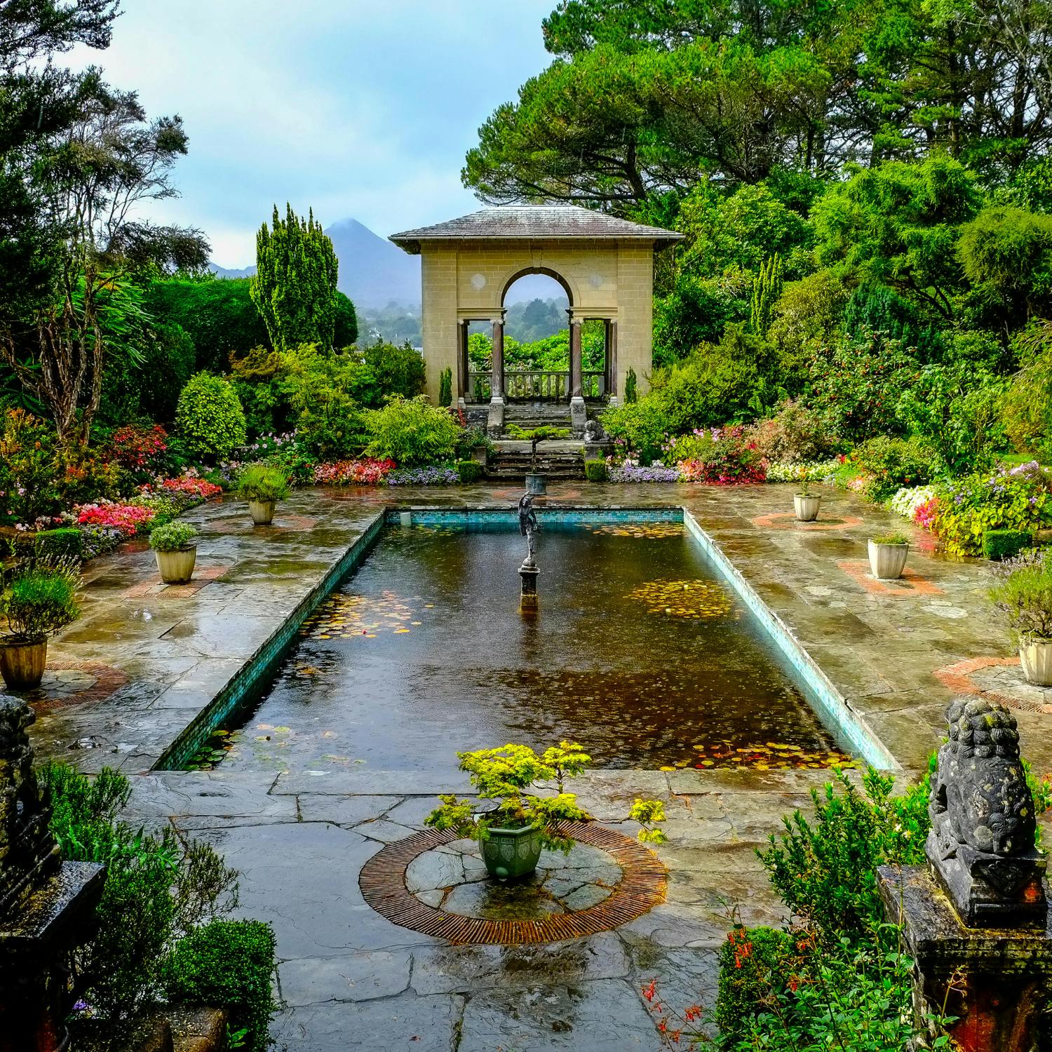 Garden stories with Diarmuid Gavin