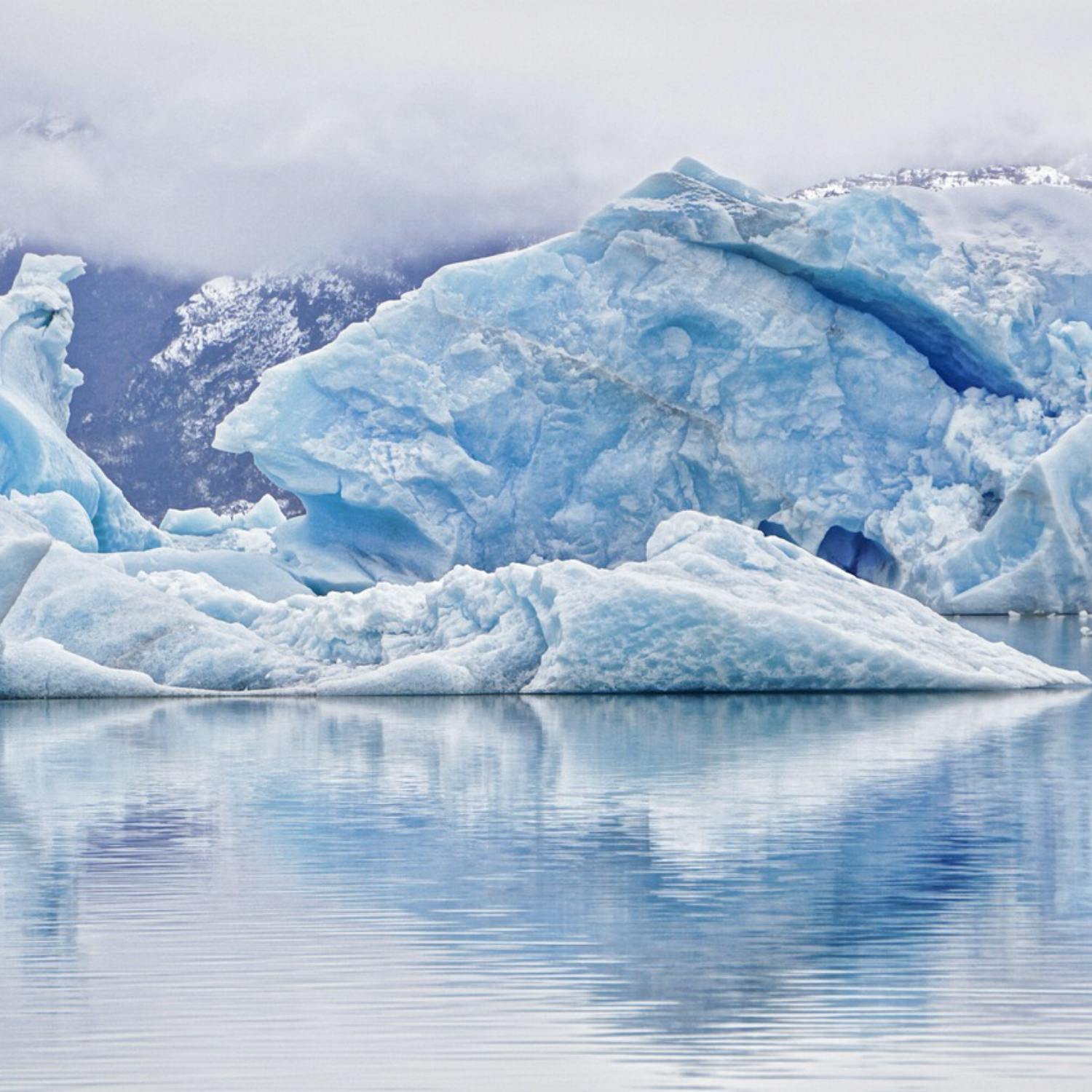 Will we become climate refugees? Will we become climate refugees?