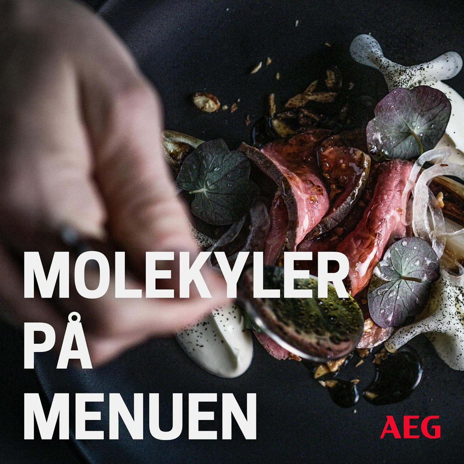 Molekyler på Menuen af AEG Mastery Range